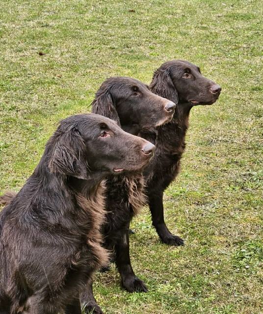 Whisper mit Mama Leelou und Schwester Nola